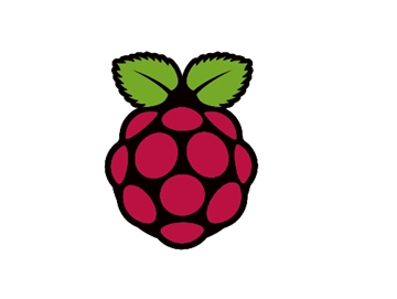 RASPBERRY