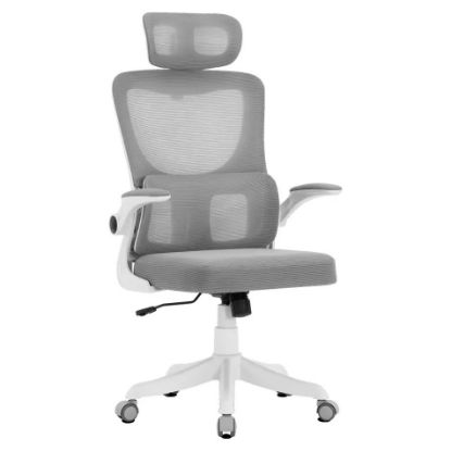 Imagem de Cadeira Ergonómica Offy Lyma Cinza